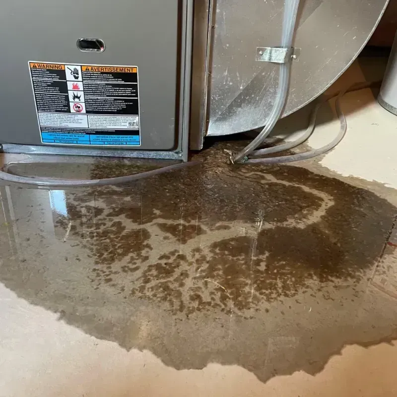 Appliance Leak Cleanup in Myrtle Creek, OR